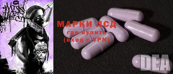 ГАЛЛЮЦИНОГЕННЫЕ ГРИБЫ Гусиноозёрск